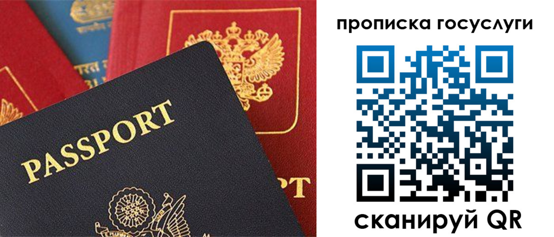 где прописаться в Новгородской области